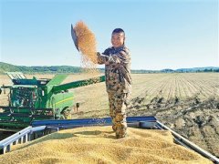 <strong>还制定印发《自治</strong>